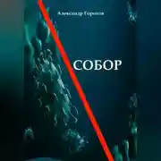 Постер книги Собор