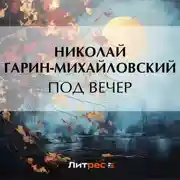 Постер книги Под вечер
