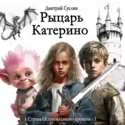 Постер книги Рыцарь Катерино