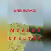 Постер книги Медный крестик
