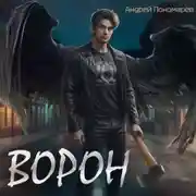 Постер книги Ворон