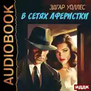 Постер книги В сетях аферистки