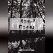 Постер книги Чёрный Принц
