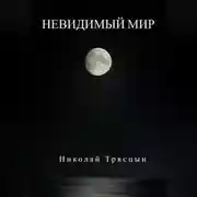 Постер книги Невидимый мир