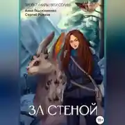 Постер книги За Стеной