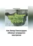 Кахабер Родинадзе - Как Звиад Гамсахурдия обманул зугдидских мингрелов