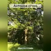 Постер книги Антонов огонь
