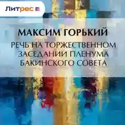 Постер книги Речь на торжественном заседании пленума Бакинского Совета