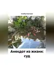 Кахабер Родинадзе - Анекдот из жизни: суд