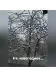 Олег Фролов - Не новогоднее…