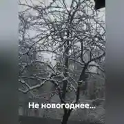 Постер книги Не новогоднее…