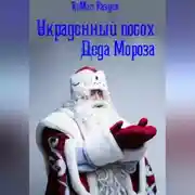 Постер книги Украденный посох Деда Мороза