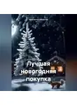 Константин Оборотов - Лучшая новогодняя покупка
