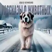Постер книги Рассказы о животных