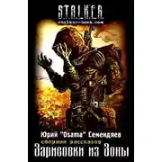 Постер книги Зарисовки из Зоны