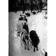 Постер книги ППГ-2266