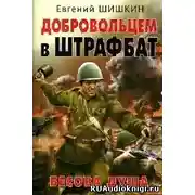 Постер книги Бесова душа