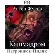 Постер книги Кашмадром