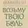 Шамякин Иван - Возьму твою боль