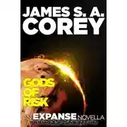 Постер книги Боги риска