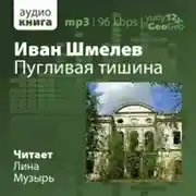 Постер книги Пугливая тишина