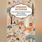 Постер книги Зимние истории. Сказки и рассказы русских писателей