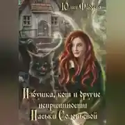 Постер книги Избушка, кот и другие неприятности Наськи Соловьевой