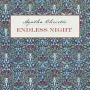 Постер книги Endless Night / Бесконечная ночь