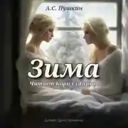 Постер книги Зима