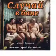 Постер книги Случай в бане