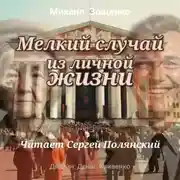 Постер книги Мелкий случай из личной жизни