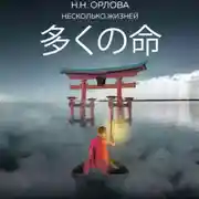 Постер книги Несколько жизней