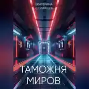 Постер книги Таможня миров