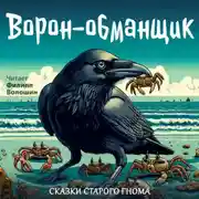 Постер книги Ворон-обманщик