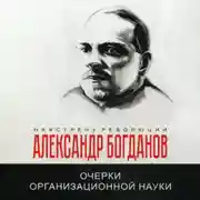 Постер книги Очерки организационной науки