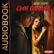 Постер книги Сын палача