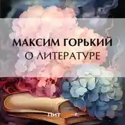 Постер книги О литературе