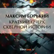Постер книги Краткий очерк скверной истории