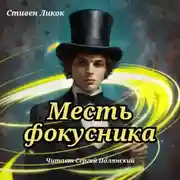 Постер книги Месть фокусника