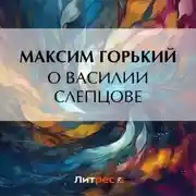 Постер книги О Василии Слепцове