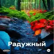 Постер книги Радужный