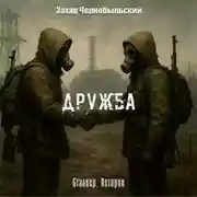 Постер книги Сталкер. Истории. Дружба