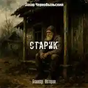 Постер книги Сталкер. Истории. Старик