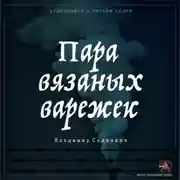 Постер книги Пара вязаных варежек