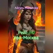 Постер книги Рейс 1142 Уфа-Москва