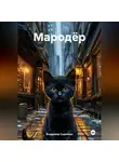 Владимир Сединкин - Мародёр