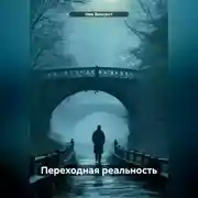 Постер книги Переходная реальность
