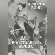 Постер книги Мег, восставшая жрица