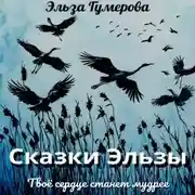 Постер книги Сказки Эльзы