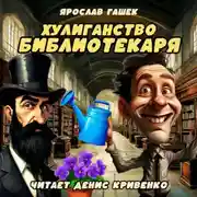 Постер книги Хулиганство библиотекаря